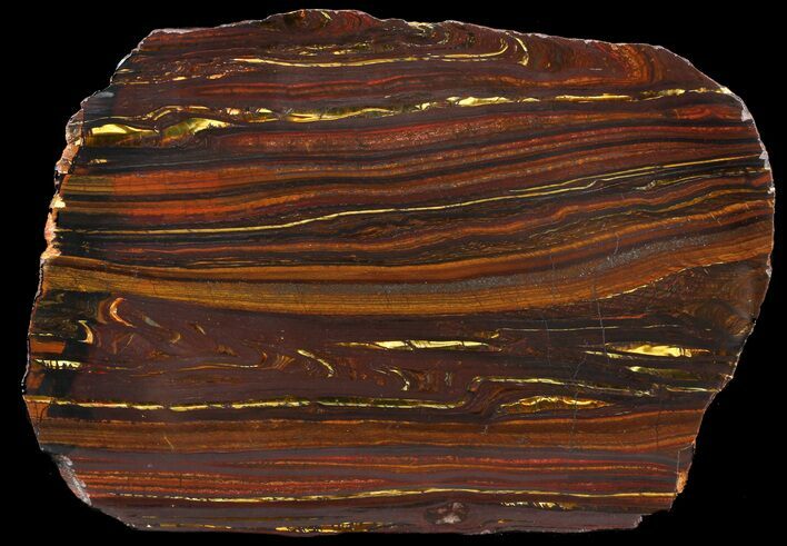 Polished Tiger Iron Stromatolite - ( Billion Years) #46797
